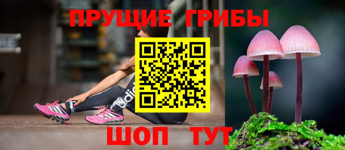 Серов  Галлюциногенные грибы GOLDEN TEACHER  Псилоцибиновые грибы мухоморы  Вход с VPN 